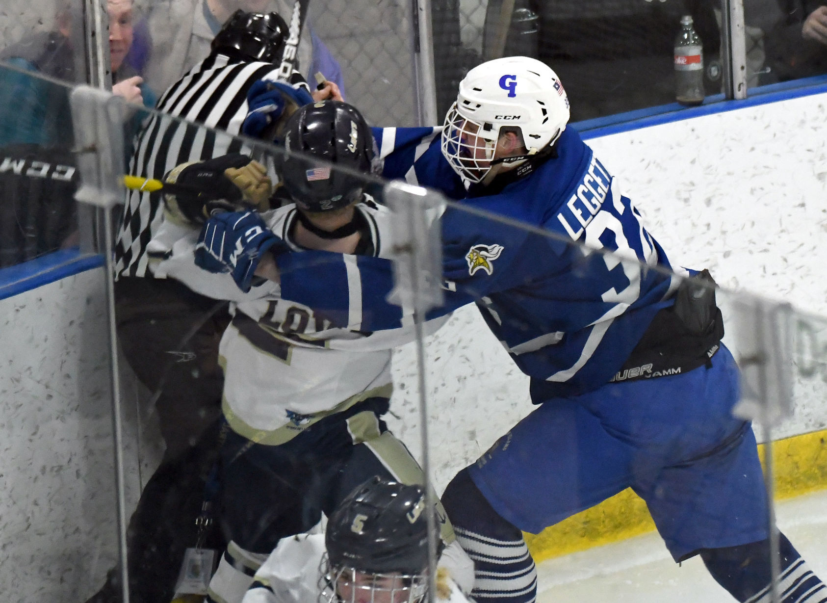 Skaneateles Grand Island 15.JPG